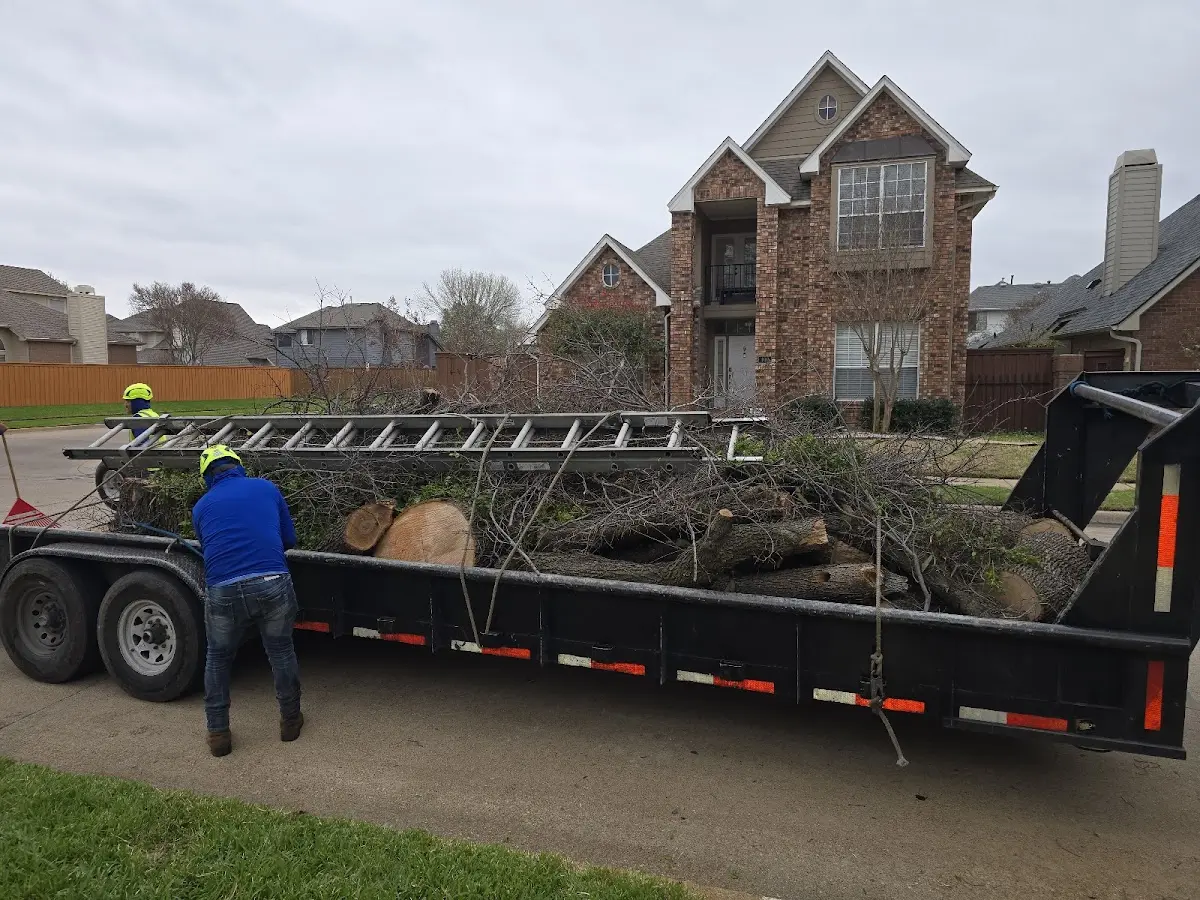 Expert Lot Clearing with proper safety equipment in Graysville